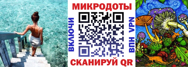 mega как войти  Нязепетровск  Галлюциногенные грибы Psilocybe 